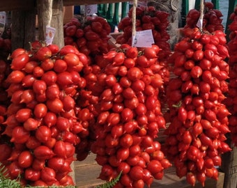 100 Samen PIENNOLO del Vesuvio Original Italienisches Erbstück Tomaten Trocknen Piennolo Samen Graines Semillas Zaden Semi Sementi Nasiona Zaas Zaden