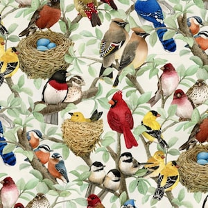 May include: A colorful illustration of a variety of birds perched on branches and in nests. The birds are depicted in a realistic style with detailed feathers and markings. The background is a white canvas with green leaves and branches.