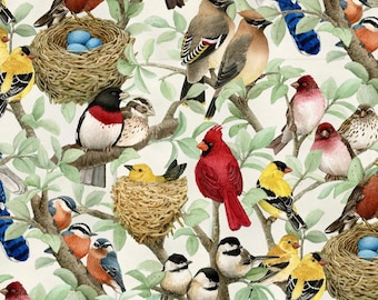 Beautiful Birds Fabric | Song Bird Fabric | Birds Fabric | Bird Fabric | Elizabeths Studio Fabric | 100% Cotton Fabric