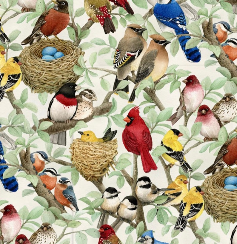 May include: A colorful illustration of a variety of birds perched on branches and in nests. The birds are depicted in a realistic style with detailed feathers and markings. The background is a white canvas with green leaves and branches.
