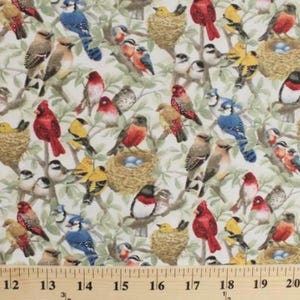 Beautiful Birds Fabric | Song Bird Fabric | Birds Fabric | Bird Fabric | Elizabeths Studio Fabric | Cotton Fabric | 4320 image 4
