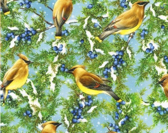 Cedar Waxwing in Winter | Winter Visitors Fabric | Bird Fabric | Birds Fabric | Robert Kaufman | Cotton Fabric | 20032