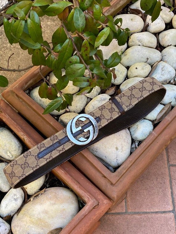 Gucci 90s/Brown leather canvas belt Gucci/Vintage