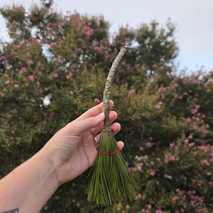 Witch&#39;s Broom #3