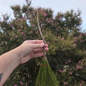 Witch&#39;s Broom #1