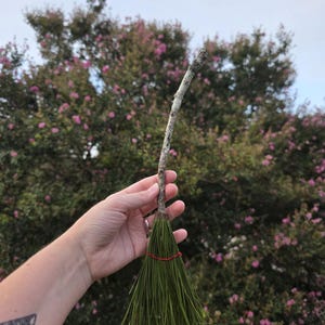 Witch&#39;s Broom #4