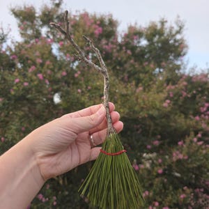 Witch&#39;s Broom #2