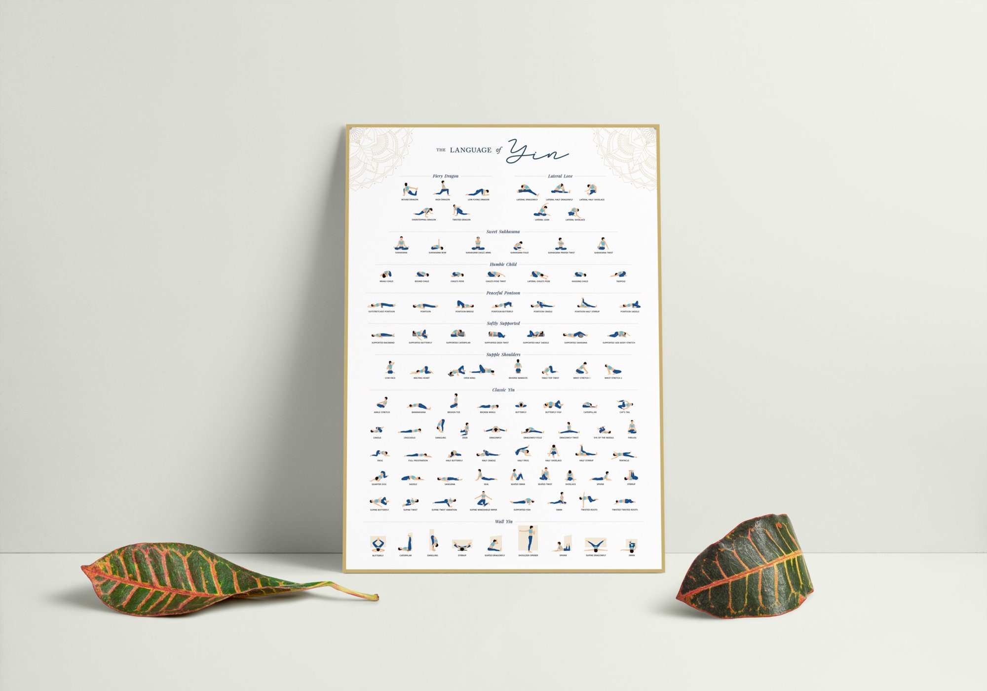 Yin Yoga Poses Poster - Yoga Poses Illustrations With Names - Printable ...
