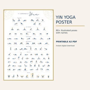 以下が含まれることがあります： The Language of Yinというタイトルの白いポスターで、80種類以上のヨガのポーズが名前付きでカテゴリー別に描かれています。右側のテキストにはYIN YOGA POSTER、80+ illustrated poses with names、PRINTABLE A2 PDFと記載されています。