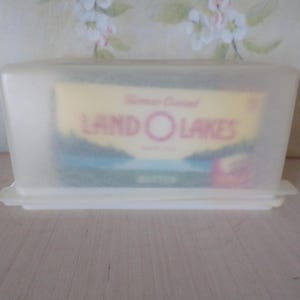 May include: A translucent plastic butter dish with a rectangular shape. The dish contains a Land O Lakes butter package. The lid is also translucent, and the dish sits on a light-colored surface.