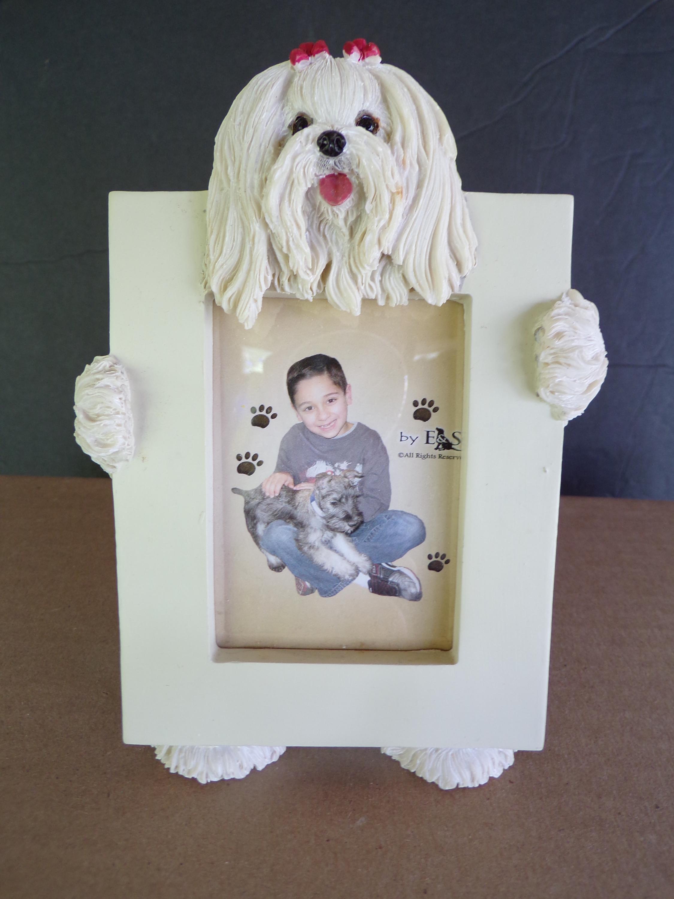 Dog Breeds Photo Frame of Your Most Favorite 4 Legged Friend, Hard ...