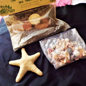 May include: A collection of sea-themed decorations including a starfish, a bag of seashells, and a bag of sea-themed items like seaweed and coral.