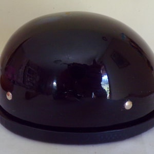Turtle Glossy Novelty Helmet with Y Straps, Ex Small and 2XL  – AL3801,