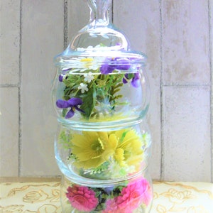 Stackset (4 Piece) Candy Dish with Lid Etched Floral Blown Glass Jar by PRINCESS HOUSE, Candy, Storage Jar, Cotton Balls, Q Tips, Canisters