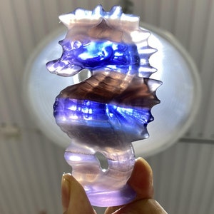 3&quot; Natural Rainbow Fluorite Carved sea Horse,Quartz Crystal Carved ,Crystal sea Horse ,sea Horse Carving，Healing，Decor， Crystal Gifts 1PC