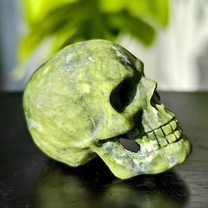 以下が含まれることがあります： 緑色の翡翠の頭蓋骨の彫刻。頭蓋骨は細部まで彫られており、滑らかで磨かれた仕上げになっています。