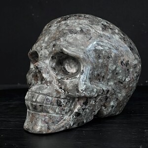 May include: A detailed, hand-carved skull sculpture made from a dark gray and white speckled stone. The skull is a realistic representation of a human skull with intricate details carved into the bone structure.