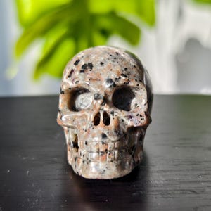May include: A small, hand-carved skull made of speckled pink and black stone. The skull is detailed with eye sockets, a nose, and teeth.