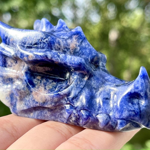 Tête de dragon sodalite naturelle sculptée à la main de 2,8 pouces, crâne en cristal de quartz, dragon en cristal, statue en cristal, guérison Reiki, cadeaux en cristal 1PC