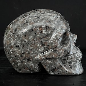 May include: A hand-carved granite skull sculpture. The skull is detailed with a textured surface and features a realistic depiction of the facial structure.