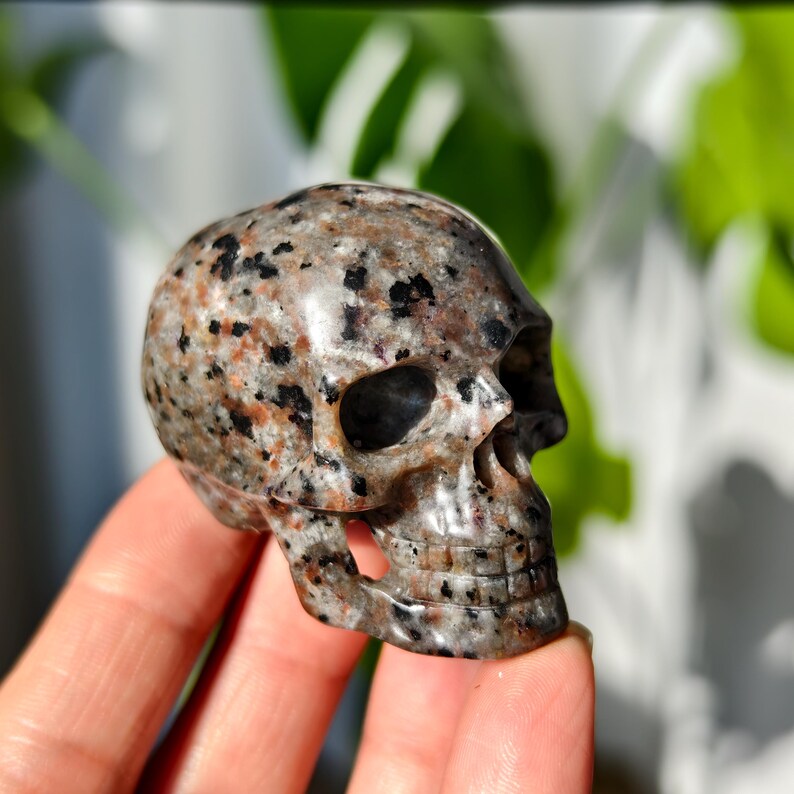 May include: A small, hand-carved skull made from speckled granite. The skull is a light gray color with black and brown speckles throughout. The skull is carved with detailed features, including eye sockets, a nose, and a mouth.