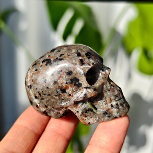 May include: A small, hand-carved skull made from speckled granite. The skull is a light brown color with black and red speckles throughout.