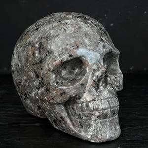 May include: A detailed, hand-carved human skull sculpture made from grey and brown speckled stone. The skull is slightly tilted to the side, with the left eye socket and jawline clearly visible.