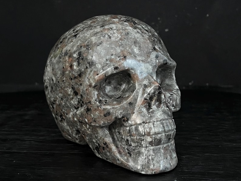 May include: A detailed, hand-carved human skull sculpture made from grey and brown speckled stone. The skull is slightly tilted to the side, with the left eye socket and jawline clearly visible.