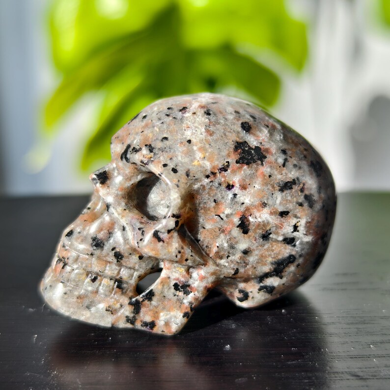 May include: A hand-carved skull made from speckled granite. The skull is a light brown color with black and red speckles throughout.
