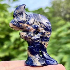 2.4&#39;&#39; Natural Hand Carved Sodalite Chameleon，Crystal Skull，Chameleon Carved，lizard Carving，Home Decor,Crystal Healing,Christmas gift 1PC