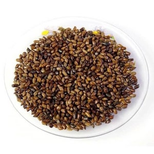 Jue Ming Zi, Cassia Seed
