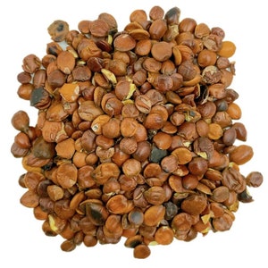 Sauteed Sour Jujube Seeds (Suan Zao Ren)