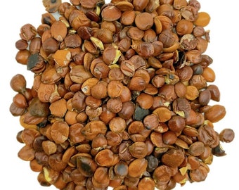 Sauteed Sour Jujube Seeds (Suan Zao Ren)