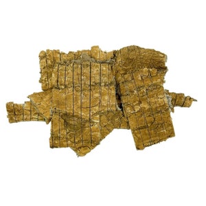 Dried Cortex Eucommiae Du Zhong