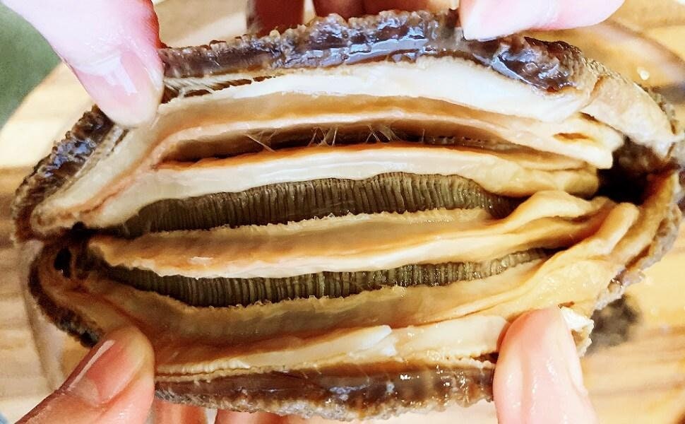 Selected Alaska Wild Caught Dried Sea Cucumber Large Size 1 Lb Etsy