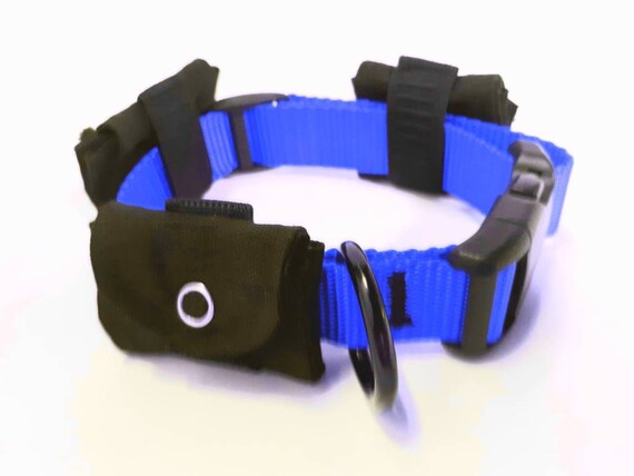 Dog collar hotsell with tag pocket