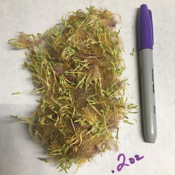 Dried Mimosa Flowers: Natural Persian Silk Tree Flowers, California Grown