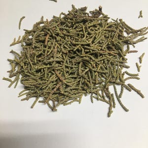 Dried Western Juniper &#39;Juniperus occidentalis&#39; pieces