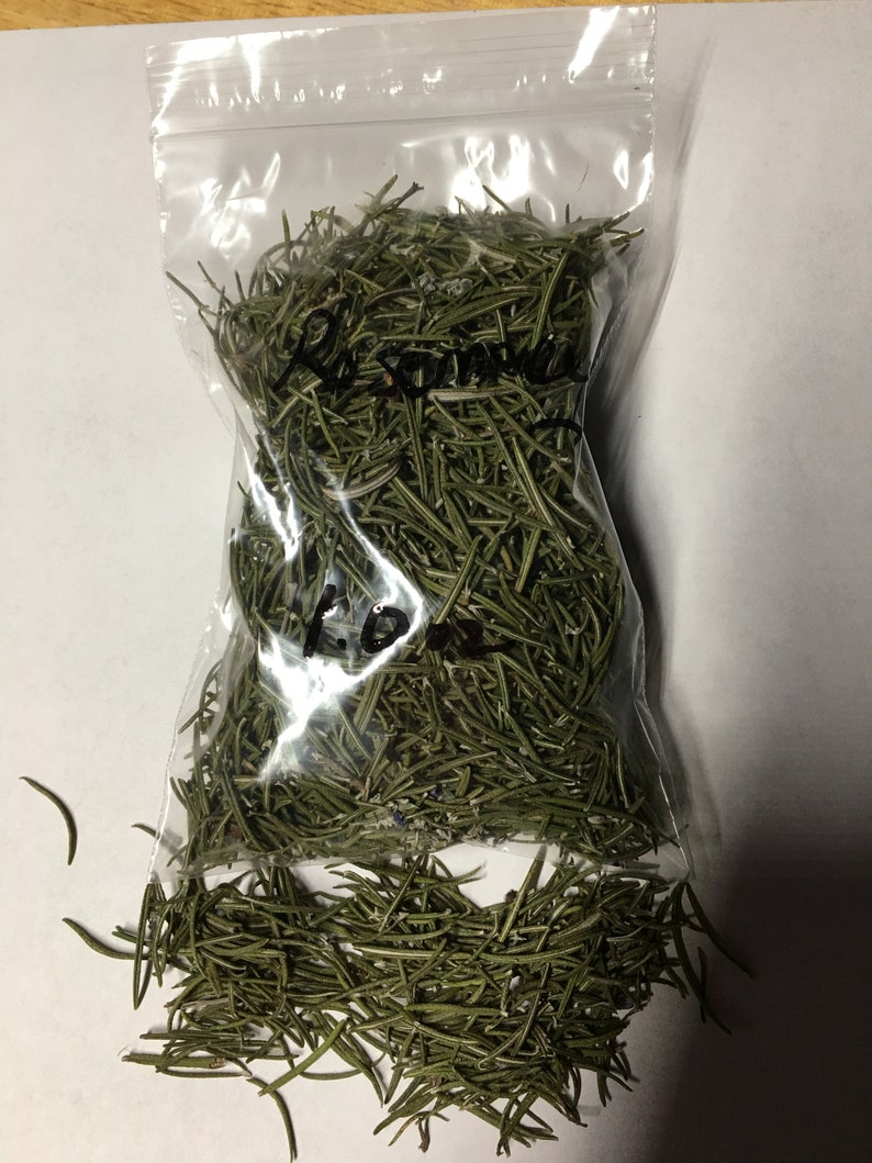Fresh Dried Rosemary Various Size Packets Etsy