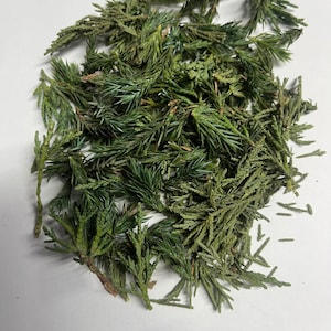 May include: A collection of dried juniper needles and small evergreen sprigs. The foliage features a mix of deep forest green and muted olive tones, with sharp, needle-like leaves and flat, scale-like branch segments scattered in a loose pile.