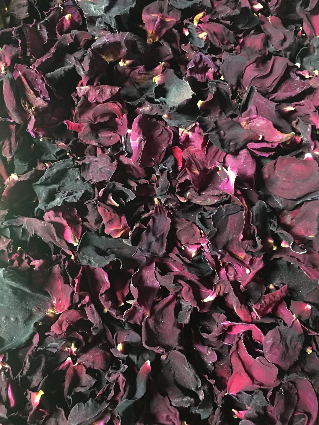 Dried Rose Petals 'dark Purple W/ Red' - Etsy