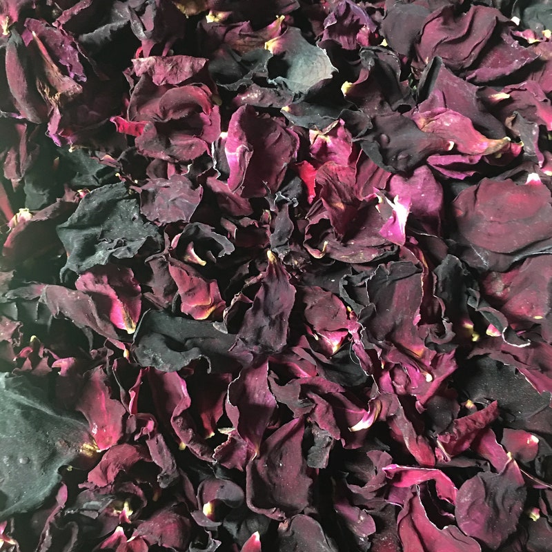 Dark Red Dried Roses - Etsy