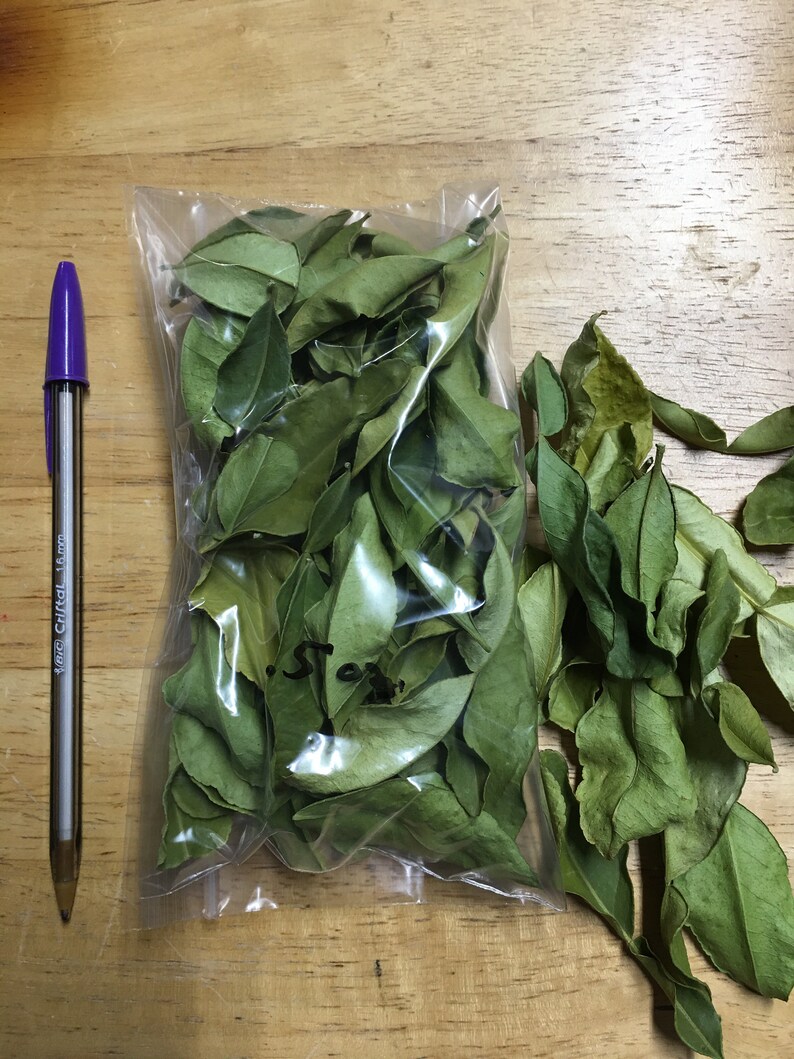 Fresh Dried Kaffir Lime leaves Etsy