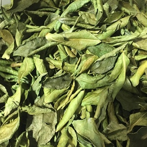 May include: A close-up of a pile of dried green leaves. The leaves are a variety of shapes and sizes, and they are all dried and brittle.