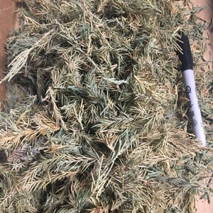 Dried Juniper pieces (Aged) - Please Read Discription