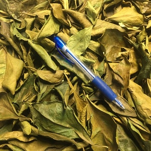 May include: A pile of dried, brown leaves with a blue pen for scale.