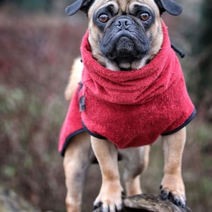 Dog bathrobe &quot;Dark red&quot; back length selectable from 30 cm - 90 cm