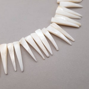 May include: A strand of white shell beads, each bead is shaped like a sharp, pointed triangle. The beads are strung together to create a necklace or bracelet.