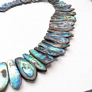 Abalone Shell Beads Paua Green Abalone Sea Shell Beads New Zealand Abalone Shell Top Drilled Shell Gemstone
