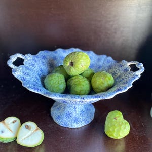 Mid-19th century Bordeaux David Johnston Potier motif Tapestry Snowflake Blue